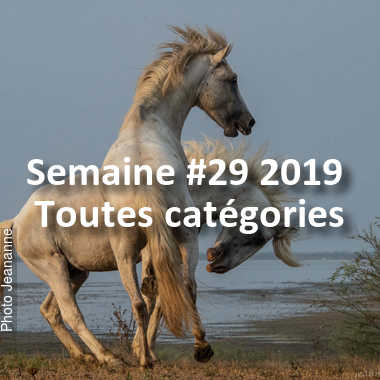 fotoduelo Semaine #29 2019 - Toutes catégories
