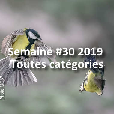 fotoduelo Semaine #30 2019 - Toutes catégories
