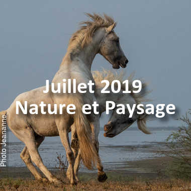 fotoduelo Juillet 2019 - Nature et Paysage