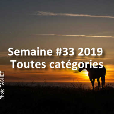 fotoduelo Semaine #33 2019 - Toutes catégories