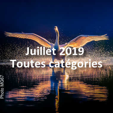 fotoduelo Juillet 2019 - Toutes catégories