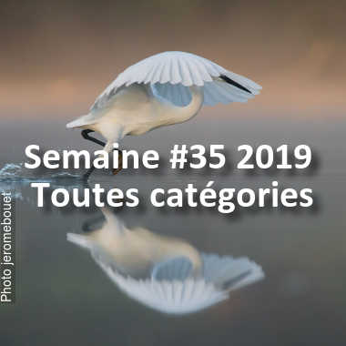 fotoduelo Semaine #35 2019 - Toutes catégories
