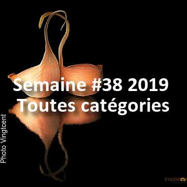 fotoduelo Semaine #38 2019 - Toutes catégories