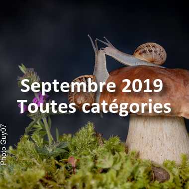 fotoduelo Septembre 2019 - Toutes catégories