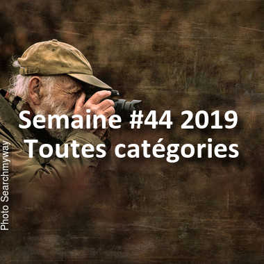 fotoduelo Semaine #44 2019 - Toutes catégories