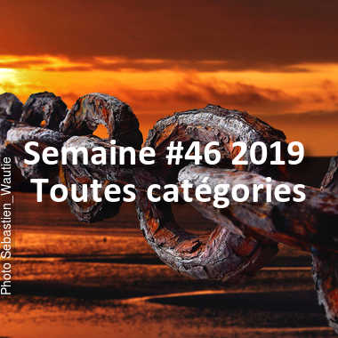 fotoduelo Semaine #46 2019 - Toutes catégories