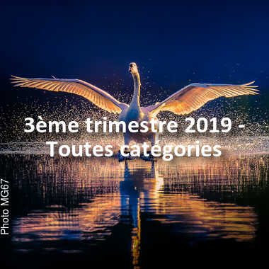 fotoduelo 3ème trimestre 2019 - Toutes catégories