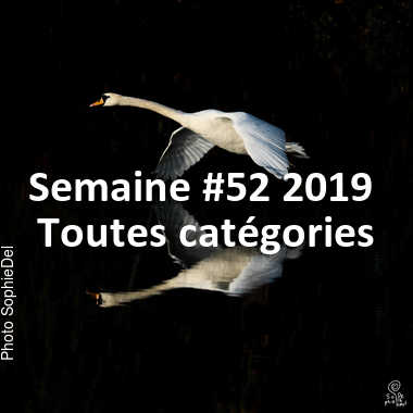 fotoduelo Semaine #52 2019 - Toutes catégories
