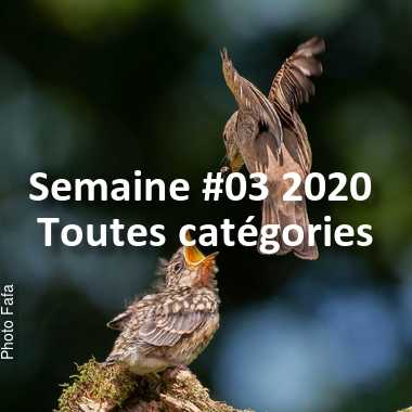 fotoduelo Semaine #03 2020 - Toutes catégories