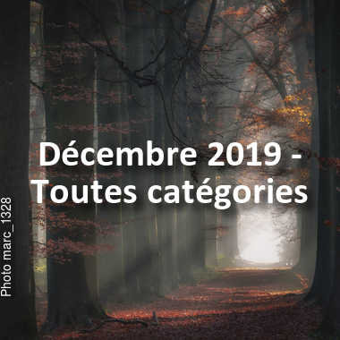 fotoduelo Décembre 2019 - Toutes catégories