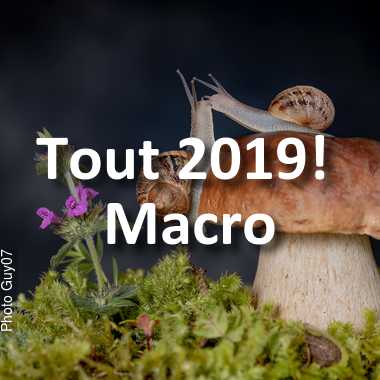 fotoduelo Tout 2019! - Macro