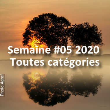 fotoduelo Semaine #05 2020 - Toutes catégories