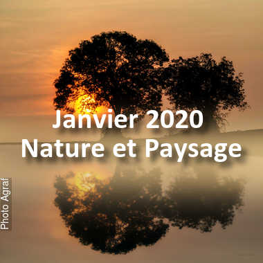 fotoduelo Janvier 2020 - Nature et Paysage