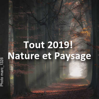 fotoduelo Tout 2019! - Nature et Paysage