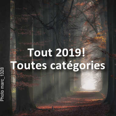 fotoduelo Tout 2019! - Toutes catégories