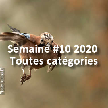 fotoduelo Semaine #10 2020 - Toutes catégories