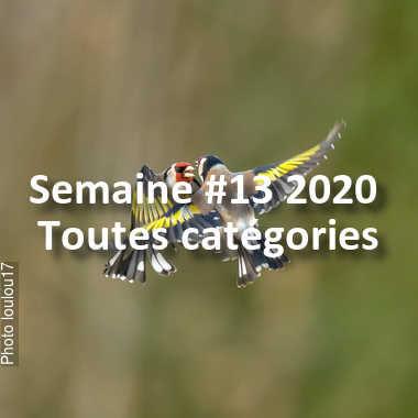 fotoduelo Semaine #13 2020 - Toutes catégories