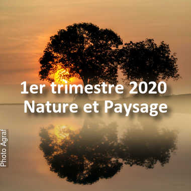 fotoduelo 1er trimestre 2020 - Nature et Paysage