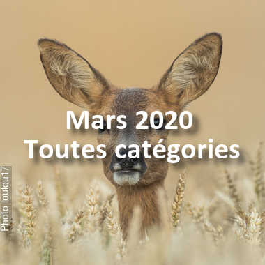 fotoduelo Mars 2020 - Toutes catégories