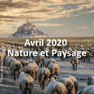 fotoduelo Avril 2020 - Nature et Paysage