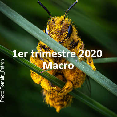 fotoduelo 1er trimestre 2020 - Macro