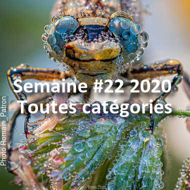 fotoduelo Semaine #22 2020 - Toutes catégories
