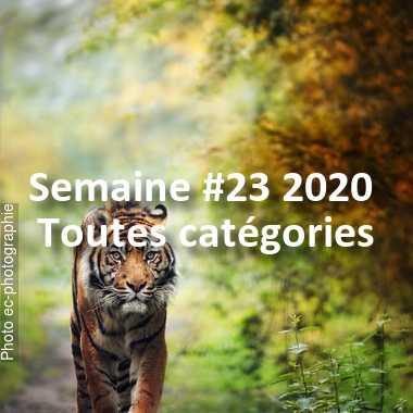 fotoduelo Semaine #23 2020 - Toutes catégories