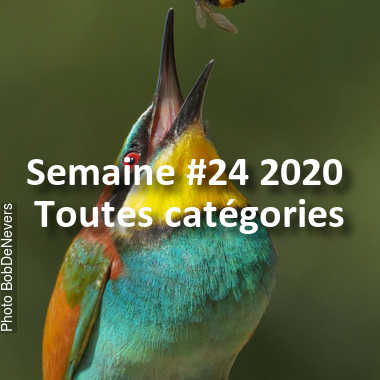fotoduelo Semaine #24 2020 - Toutes catégories