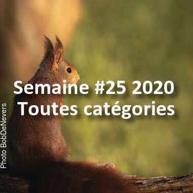 fotoduelo Semaine #25 2020 - Toutes catégories