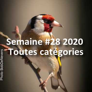 fotoduelo Semaine #28 2020 - Toutes catégories