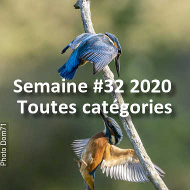 fotoduelo Semaine #32 2020 - Toutes catégories