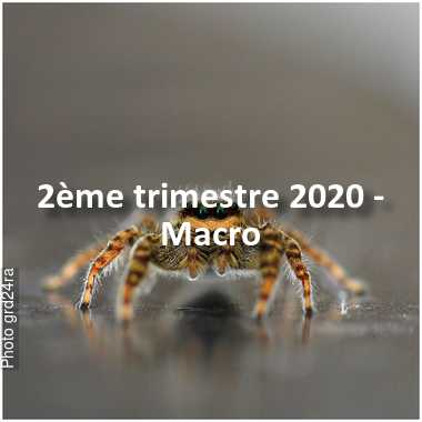 fotoduelo 2ème trimestre 2020 - Macro