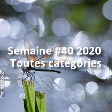 fotoduelo Semaine #40 2020 - Toutes catégories