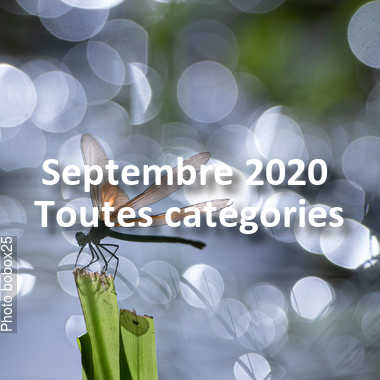 fotoduelo Septembre 2020 - Toutes catégories