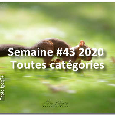 fotoduelo Semaine #43 2020 - Toutes catégories