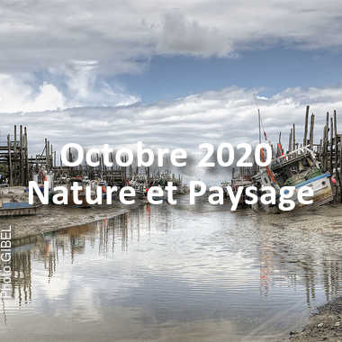 fotoduelo Octobre 2020 - Nature et Paysage