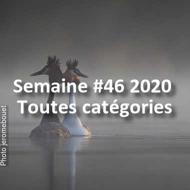 fotoduelo Semaine #46 2020 - Toutes catégories