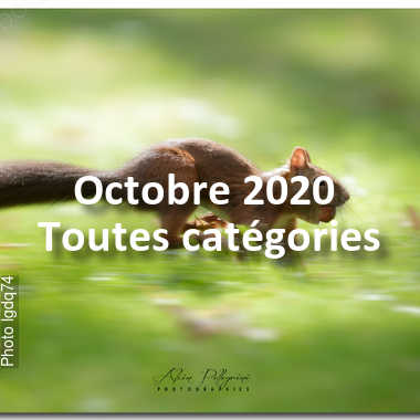 fotoduelo Octobre 2020 - Toutes catégories
