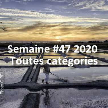 fotoduelo Semaine #47 2020 - Toutes catégories