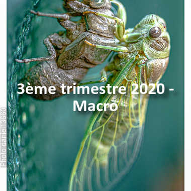 fotoduelo 3ème trimestre 2020 - Macro