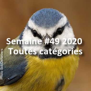 fotoduelo Semaine #49 2020 - Toutes catégories