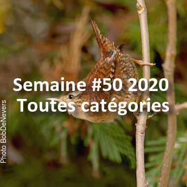 fotoduelo Semaine #50 2020 - Toutes catégories