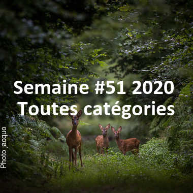 fotoduelo Semaine #51 2020 - Toutes catégories