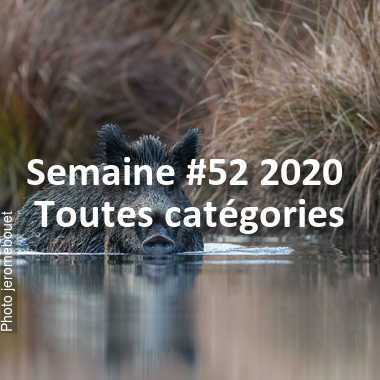 fotoduelo Semaine #52 2020 - Toutes catégories