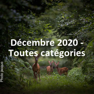 fotoduelo Décembre 2020 - Toutes catégories