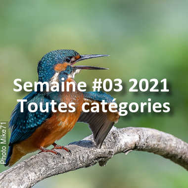fotoduelo Semaine #03 2021 - Toutes catégories