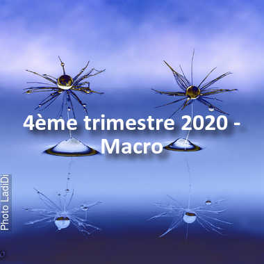 fotoduelo 4ème trimestre 2020 - Macro