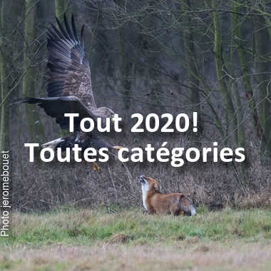 fotoduelo Tout 2020! - Toutes catégories