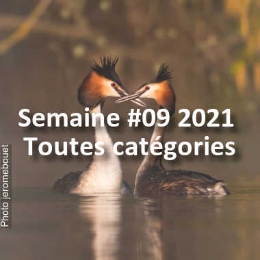 fotoduelo Semaine #09 2021 - Toutes catégories