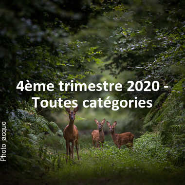 fotoduelo 4ème trimestre 2020 - Toutes catégories